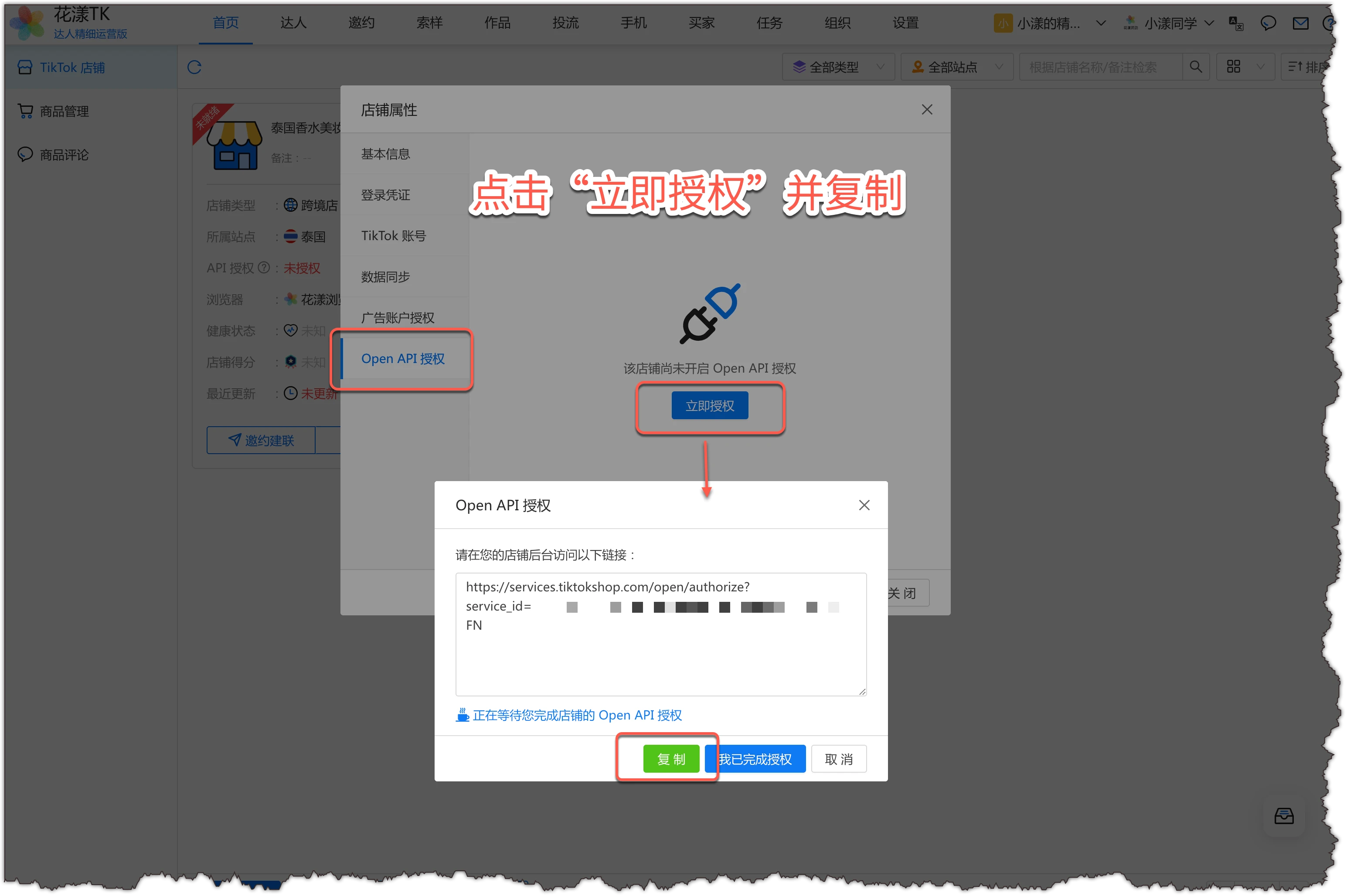 Click “Authorize now” and copy the authorization link